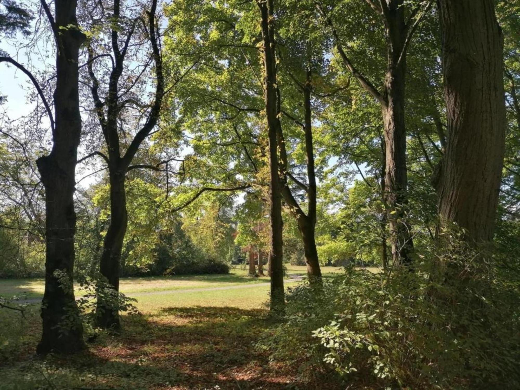Spacious Apartment In Weser Uplands With Garden Bad Pyrmont Bagian luar foto