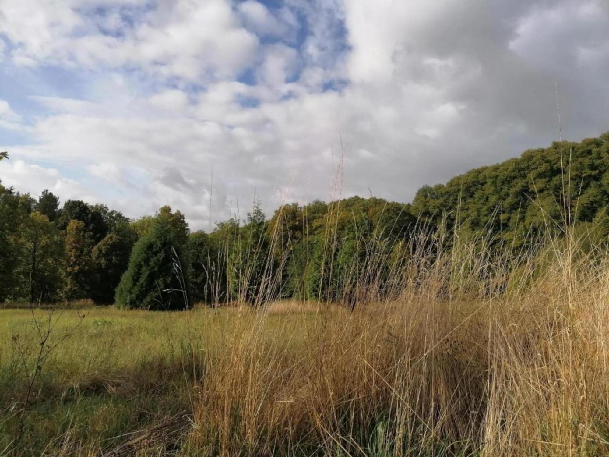 Spacious Apartment In Weser Uplands With Garden Bad Pyrmont Bagian luar foto