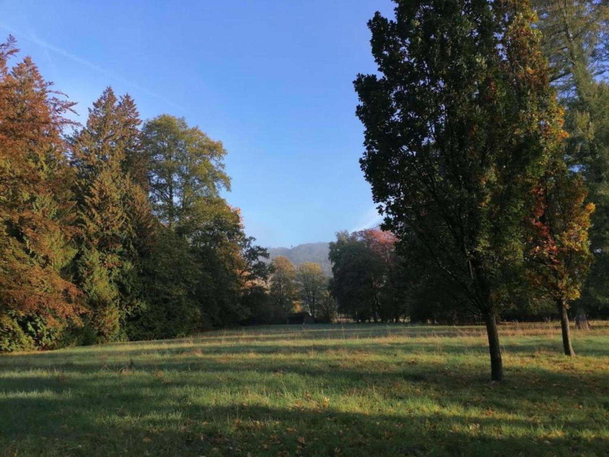 Spacious Apartment In Weser Uplands With Garden Bad Pyrmont Bagian luar foto